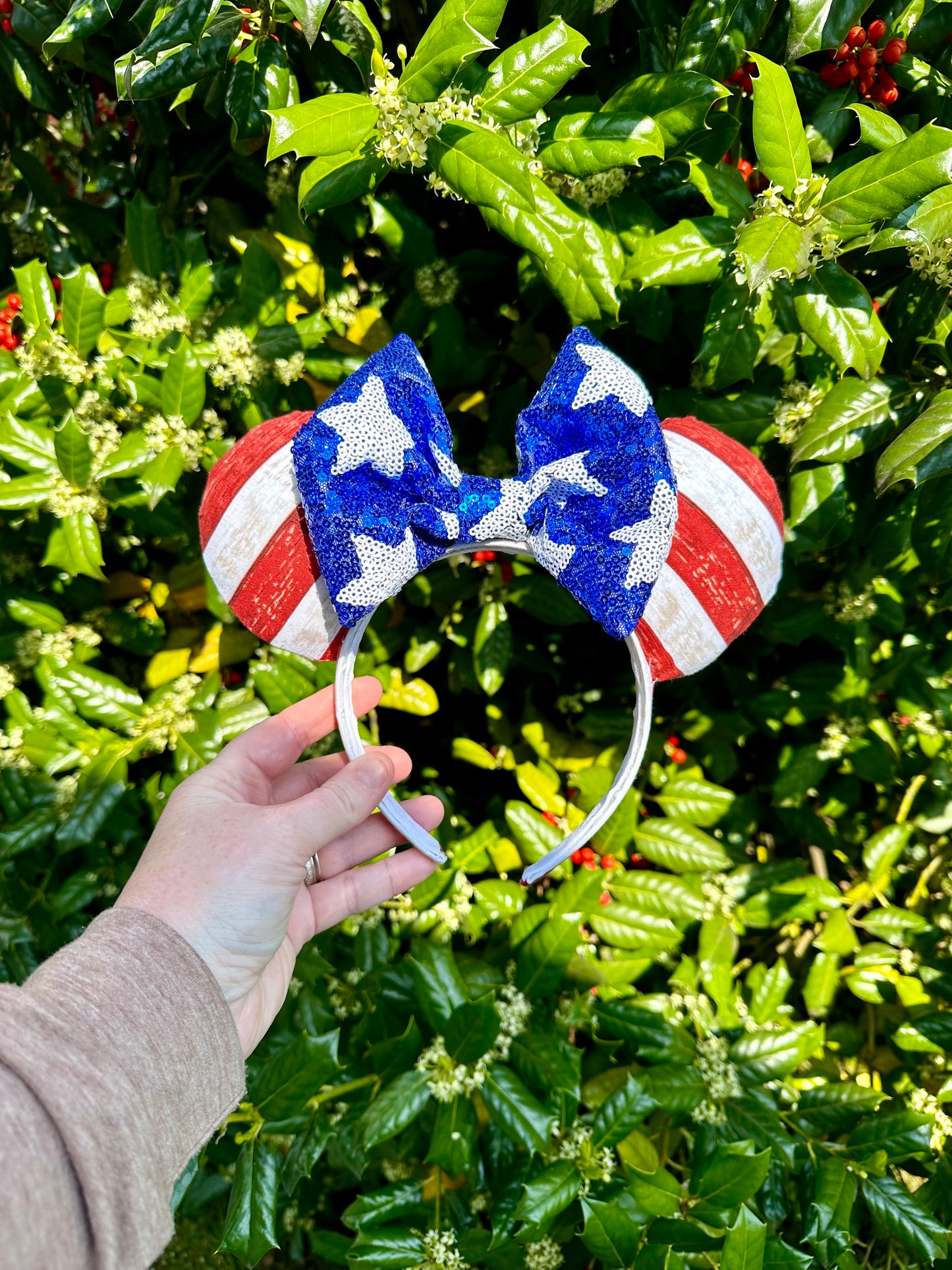 Stars & Stripes Ears