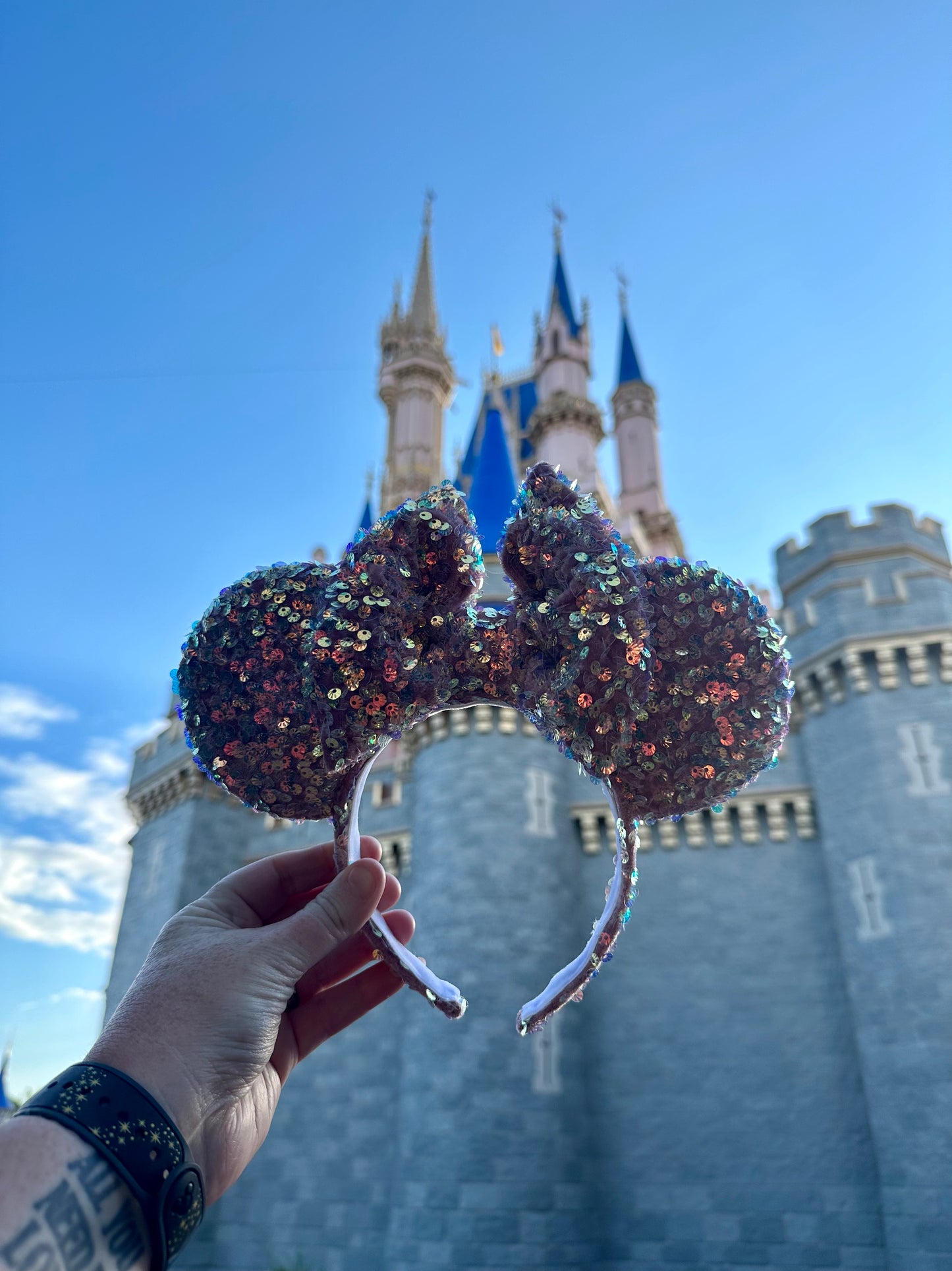 Dusty Rose Sequin Ears