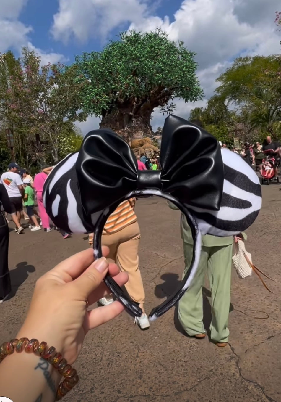 Zebra Ears