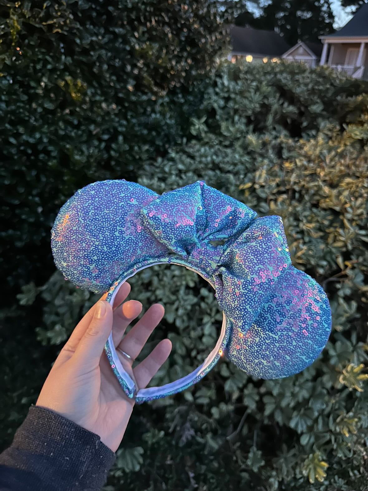 Under the Sea Ears